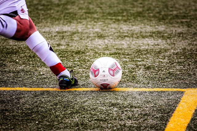 带来可观的 带来可观的