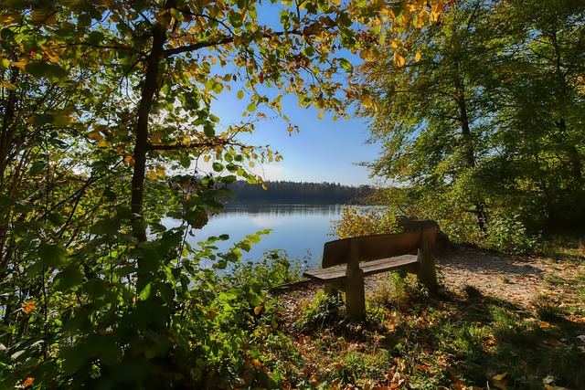 自然界的脆 自然界的脆