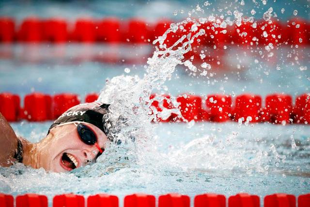 自己的不足 自己的不足