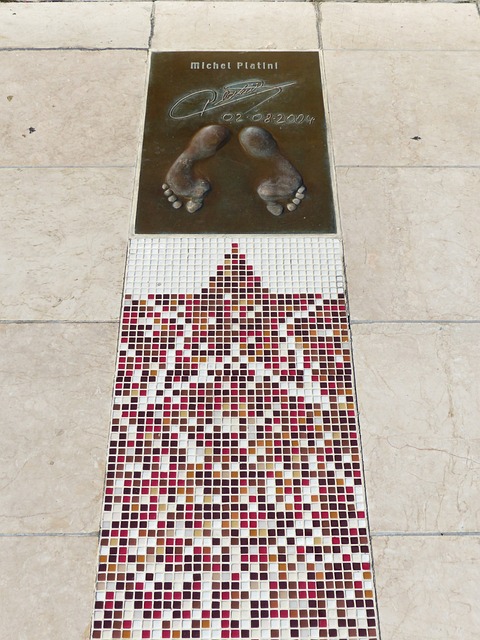 某些领域的 某些领域的